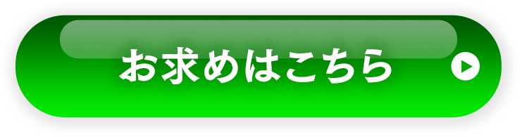 お求めはこちら
